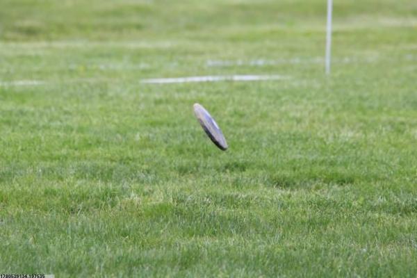 体育类教育培训是否合规？